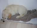 Iarna 2008 064